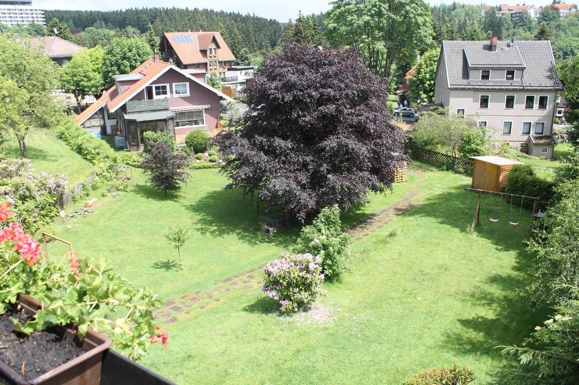 Hotel Ulrichshof à Braunlage Extérieur photo