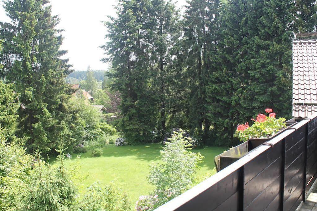 Hotel Ulrichshof à Braunlage Extérieur photo
